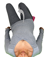 sacro spine aligner movement position left